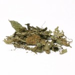 Salvia Divinorum Leaves - 5 Grams