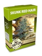 Skunk Red Hair