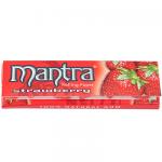 Mantra Strawberry 25pk./50l - wholesale pack